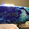 SUP Board Iboard